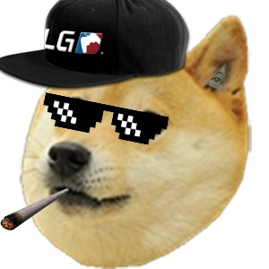 longboading's profile picture. Longboard lover heavy metal, black metal