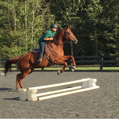 JoeSpecops981's profile picture. 