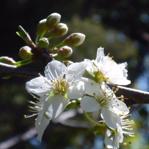 TourismWaiheke's profile picture. 