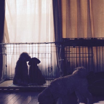 相馬誠一郎 Agskwgbnss86 Twitter 相馬誠一郎 Agskwgbnss86 Twitter