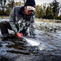 Blake Enyart (@gydez_halo) 's Twitter Profile Photo