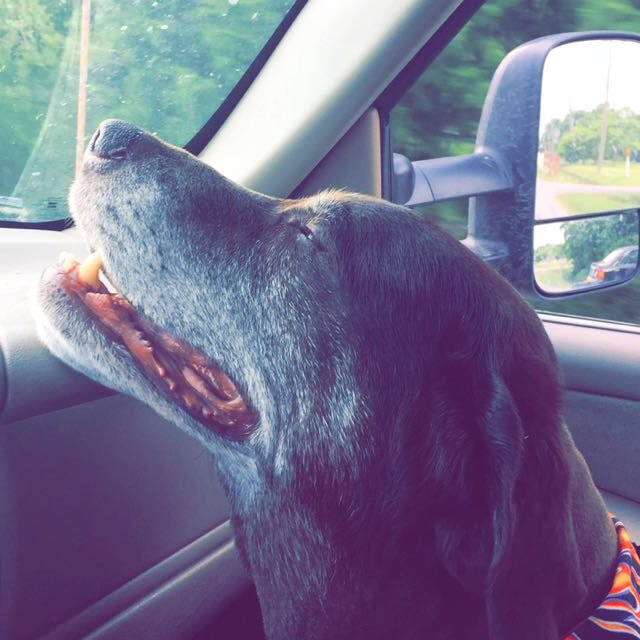 Gracejennings46's profile picture. 