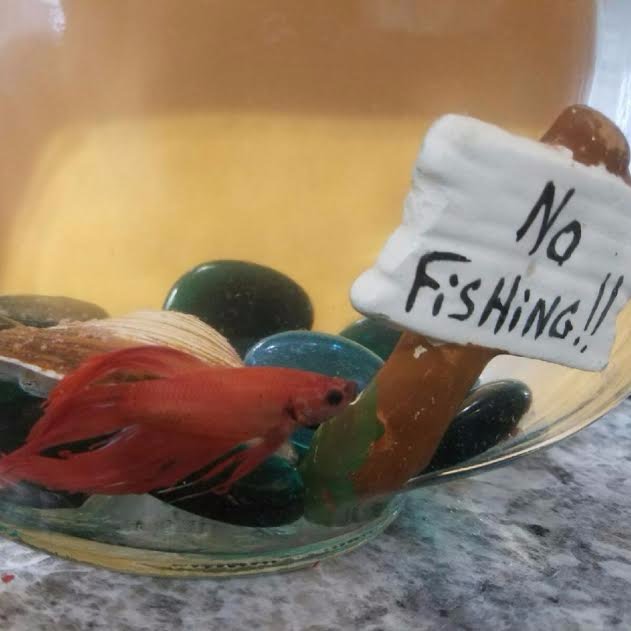Just a simple fish. who call @leviswanson4's locker home.