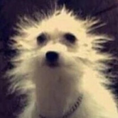 How_Stupid_'s profile picture. Hit yah boy up with a rant.