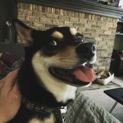 Holmes138's profile picture. VP of Operations @global216inc. Star Wars. Pizza. Board Games. Cleveland Sports.