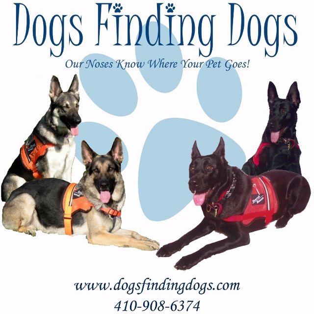 Dogs Finding Dogs is a 501(c)3 nonprofit organization of highly trained handlers and dogs that can track and find a lost pet.