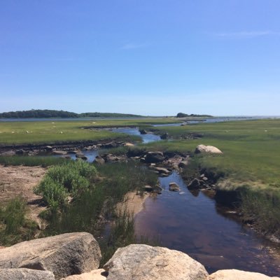 TerryMullan's profile picture. 