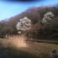 hryk_saito (@wsaitoh) 's Twitter Profile