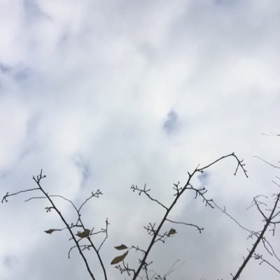 bus_ryuji's profile picture. 