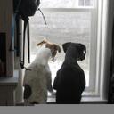 Jenna Branch - @ihrtmtns - Twitter