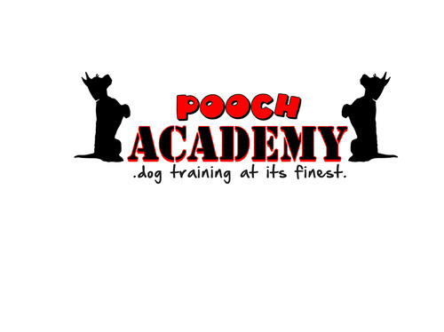 Pooch Academy brings world-class dog training to Des Moines featuring Board'n Train,Classes,&Private Lessons w/ their Certified Behavioral Specialist.