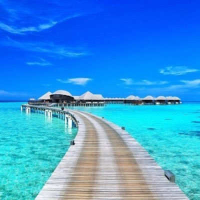 Tripseats's profile picture. 