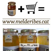 Mel Vall de Ribes 🐝🌻 (@melderibes) 's Twitter Profile