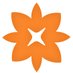 DAM UK (@dam_uk) Twitter profile photo DAM UK (@dam_uk) Twitter profile photo