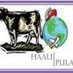 haaly-pular-vitoria (@haaly_p_vitoria) Twitter profile photo haaly-pular-vitoria (@haaly_p_vitoria) Twitter profile photo