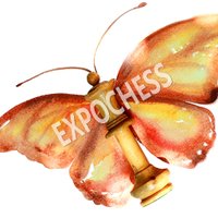 EXPOCHESS♚♛︎ (@exp0chess) 's Twitter Profile Photo