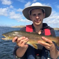 Jim Kerr (@drjimkerr) 's Twitter Profile