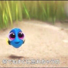 いずみさんのプロフィール画像