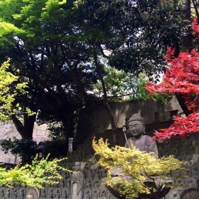 寺社（御朱印と御首題）電車、花、茶、景色など趣味や日常を下手な写真と文章であげています💐🚃🙏⛩📱 🗻