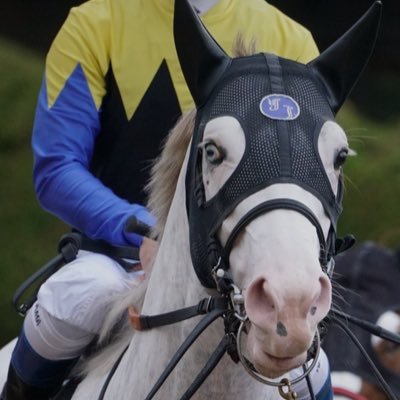 reo2281115's profile picture. 日頃の競馬の動向や週末の競馬の予想をするアカウントです。 マルハン東宝ビル店についても。皆さんフォローをよろしくお願いします。 リプは基本的に全部返します。