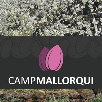 Camp Mallorqui