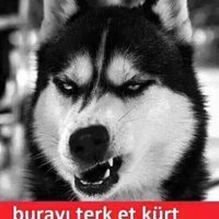 Alparslan TÜRK (@alparslantrk17) 's Twitter Profile