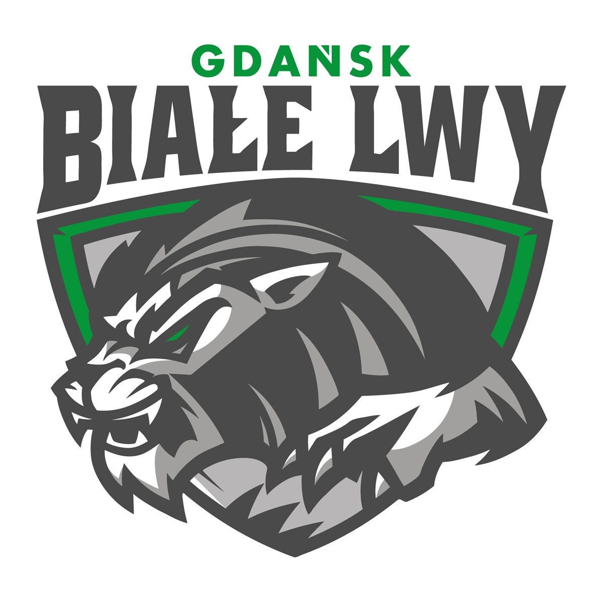 bialelwygdansk's profile picture. Klub futbolu amerykańskiego