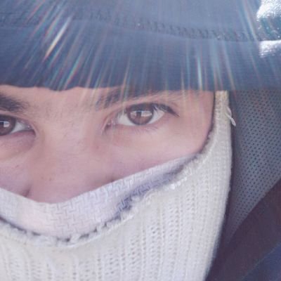 proglunes's profile picture. 