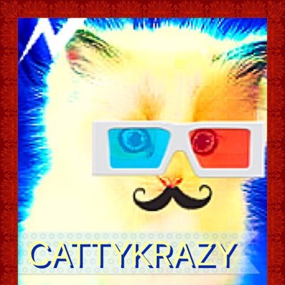 cattykrazy Profile Picture