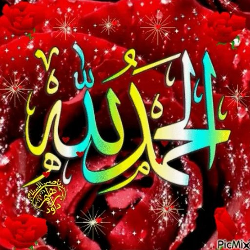 a62601445's profile picture. 