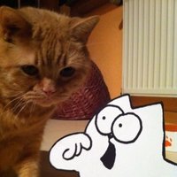 Lucky (@kater_lucky) 's Twitter Profile