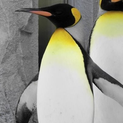 Prof写真は旭山動物園のコウテイペンギンさんです/ライター稼業を営んでいます
日経アーキテクチュア・日経ホームビルダーでの主な過去記事は→ https://t.co/nyCCsrTlYg 

/建築 意匠権対策マニュアル(共著、日経BP/2021)