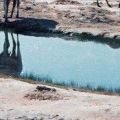 Peshawar Fellow Marwarid Canal Afgan Http Www1a Biglobe Ne Jp Peshawar Dr Works 08report To Af Gov Html Peshawarkai Afganistan Pakistan Volunteer