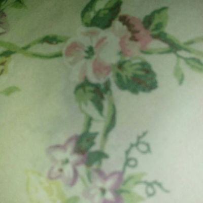 StephanCunning7's profile picture. 