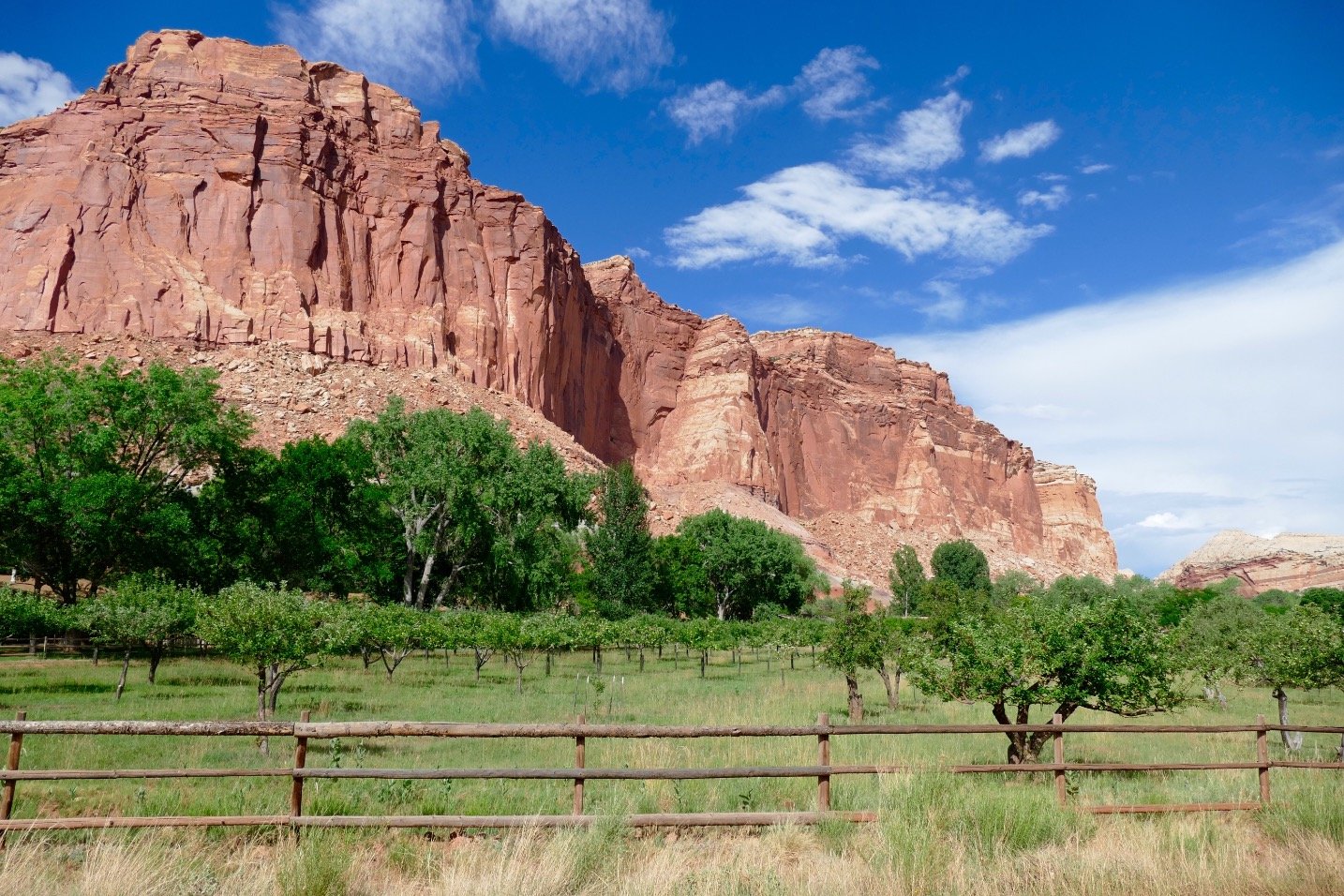 LittleWill88's profile picture. 