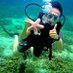 Tour Indonesia Murah (@tourindomurah) Twitter profile photo Tour Indonesia Murah (@tourindomurah) Twitter profile photo