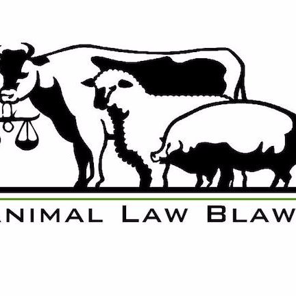 Professor David Cassuto tweeting about animal law, policy & ethics
