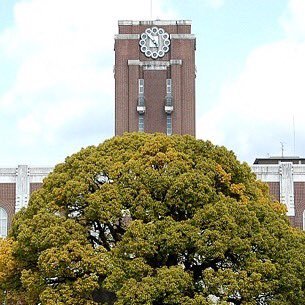 京都大学工学部1回生。重度のスマホ依存症の偏差値50が、たった3ヶ月で偏差値75を達成して京都大学に逆転合格。超スマホ依存症でも一流大学に逆転合格できる【裏技的な秘訣】を限定無料公開中。『Arcobaleno』を読めば、あなたの人生が変わります。#スマホ依存症