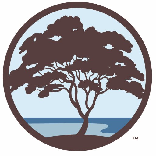 Madrona Coast Capital LLC & Madrona Coast Management Inc. Focus on Investment & Management in Detroit & Seattle