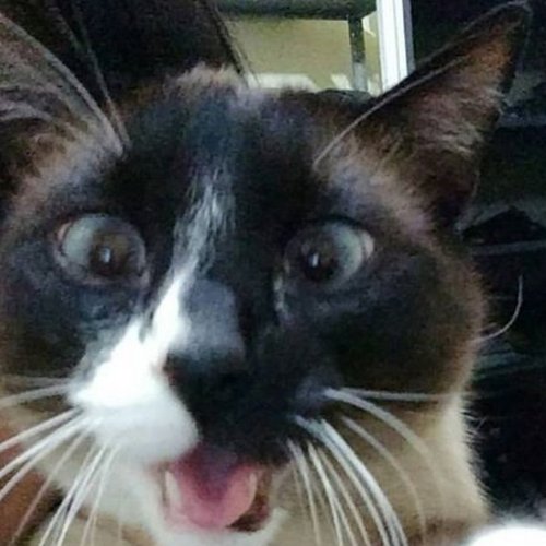 Cabral_13Mah's profile picture. Era algo especial... Era um sonho ou imaginação. Aí veio você e apertou minha mão!!!