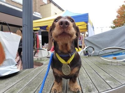 CCopd's profile picture. 