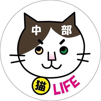中部猫LIFE代表

活動の応援、ご協力して頂けますと
助かります
保護猫、愛猫達と共に生活しています

ゆっくり活動していきます
責任の持てない事には手を出さない

＃わさびくん
＃FIP
＃ペットロス

日々の猫達の様子は
@nekolife1025

＃岐阜県