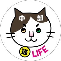 にゃん生活なう(中部猫LIFE代表) (@mtkm0519) 's Twitter Profile Photo にゃん生活なう(中部猫LIFE代表) (@mtkm0519) 's Twitter Profile Photo