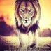 TCNJ Wrestling (@tcnj_wrestling) Twitter profile photo