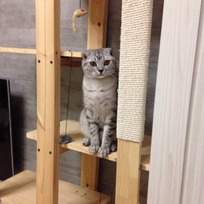 5560656's profile picture. 흐르는 강물처럼...