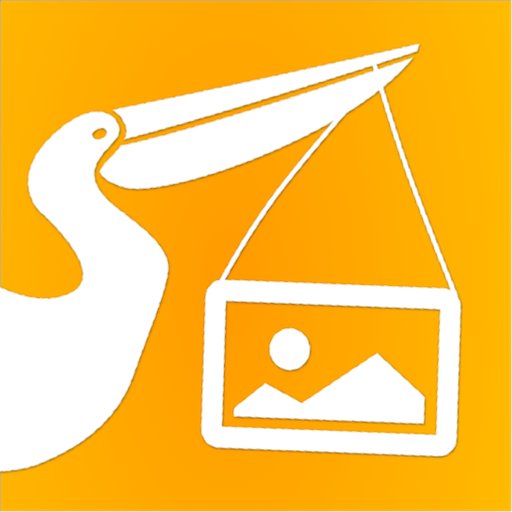 pelipostapp Profile Picture