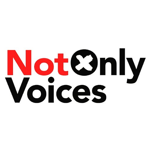 Not Only Voices connects and empowers human rights defenders, with a special focus on lesbian, gay, bisexual, trans and intersex (LGBTI) issues.