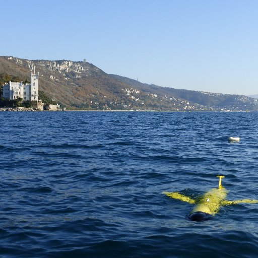 OGS_GliderTeam's profile picture. The OGS GliderTeam was created in spring 2007 and it is a part of the OGS MAOS - Mobile Autonomous Oceanographic Systems group.