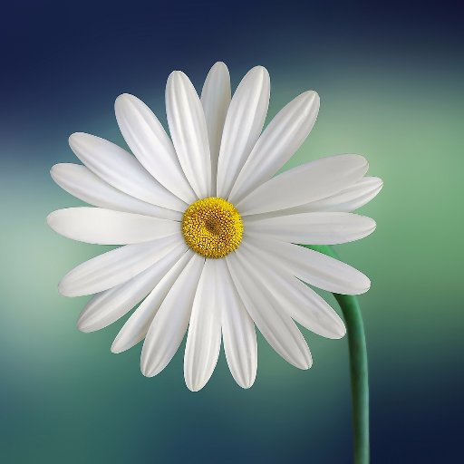 endhunger3's profile picture. 