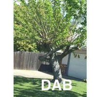 Charlie (@jacob1234jac) 's Twitter Profile
